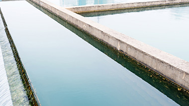 如何評判黑臭水體治理技術好壞？